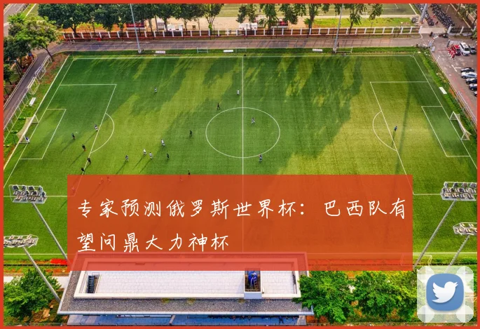 专家预测俄罗斯世界杯：巴西队有望问鼎大力神杯