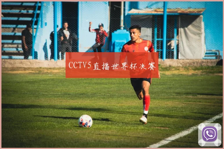 CCTV5直播世界杯决赛