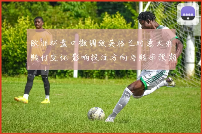 欧洲杯盘口微调致英格兰对意大利赔付变化 影响投注方向与赔率预期