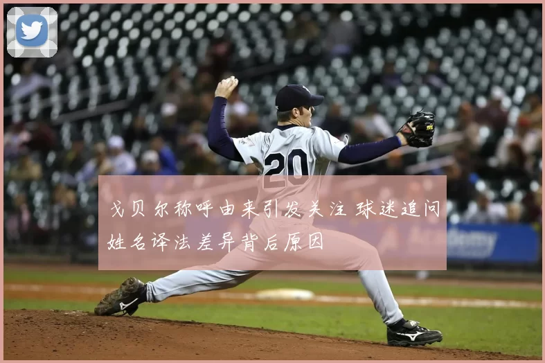 戈贝尔称呼由来引发关注 球迷追问姓名译法差异背后原因