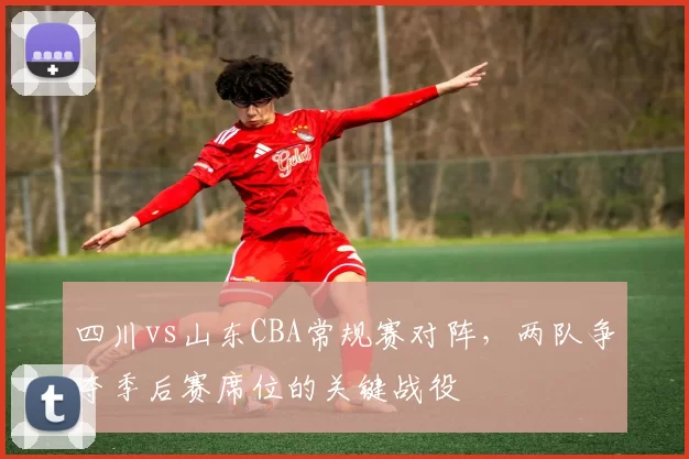 四川vs山东CBA常规赛对阵，两队争夺季后赛席位的关键战役