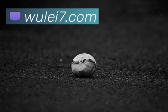 乐竞体育平台生态图